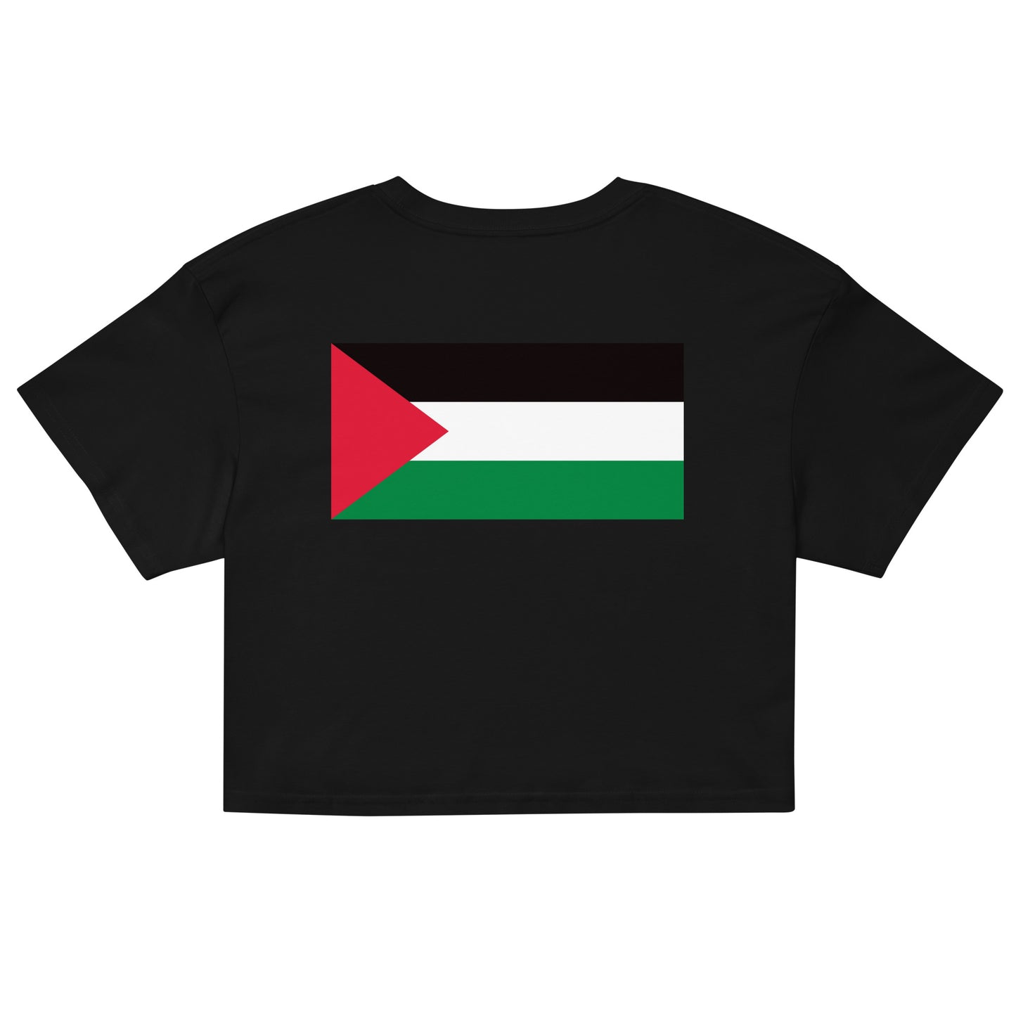 We Are Resistance Palestine Women’s crop top